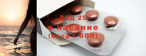 крисы Абаза