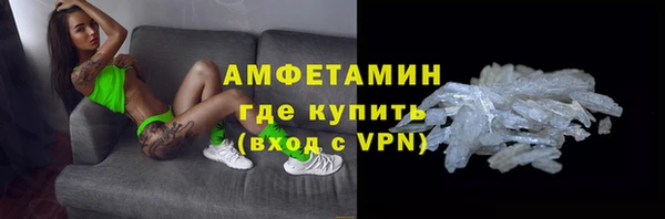 крисы Абаза