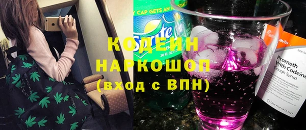 крисы Абаза
