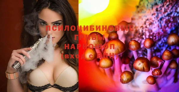 крисы Абаза