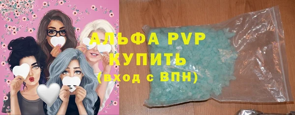 крисы Абаза